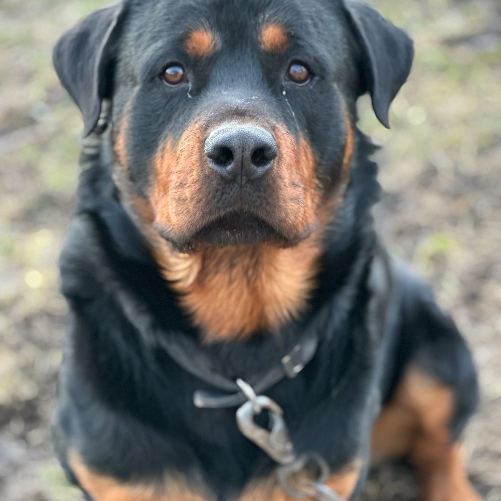 Come to my FIRST LIVE ON CAMERA!